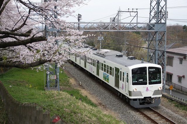 野川公園の桜と西武多摩川線_b0002858_1372010.jpg