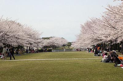 日々楽しんでます…_e0129958_2086100.jpg