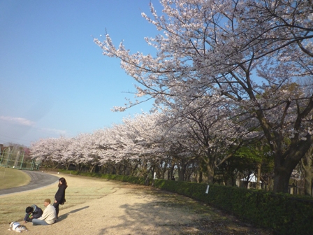山桜です…_b0093660_22313470.jpg