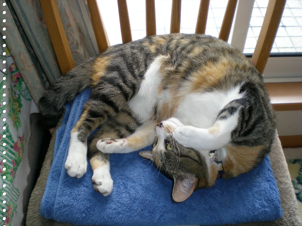 2010年4月8日(木)丁寧なバトル?_f0060461_10482566.jpg