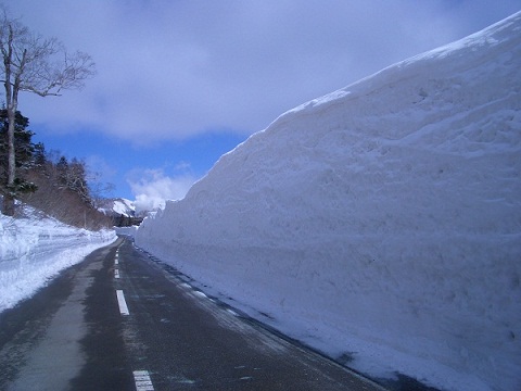 b0063468_22293659.jpg