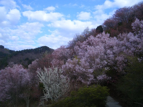 b0063468_22322974.jpg