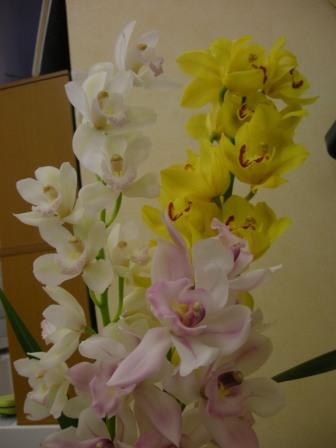 c0223968_22364123.jpg