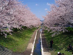 傾斜地用ミニベンチ_e0189870_16124147.jpg