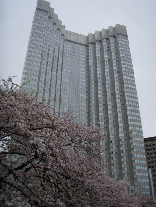 ホテル_a0077071_1759895.jpg