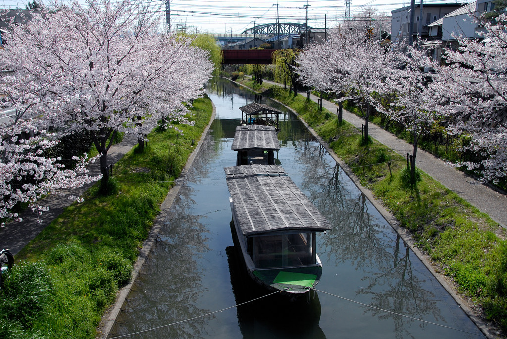 京都・伏見の十石舟_e0169286_20513041.jpg