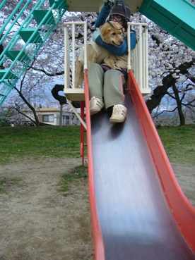 e0121790_20314793.jpg