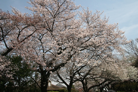 f0128092_2352436.jpg
