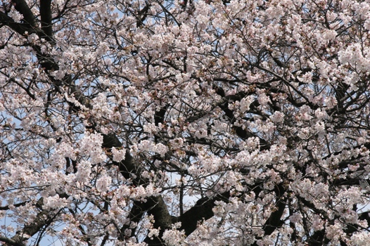 f0128092_235494.jpg