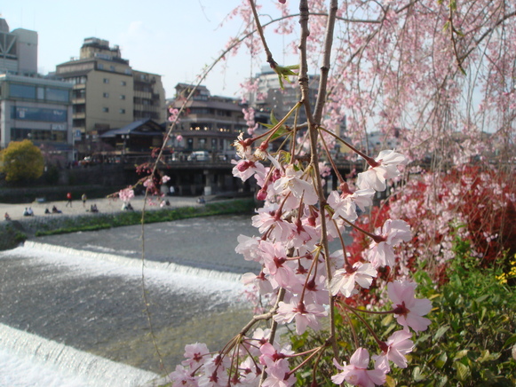 e0111793_145268.jpg