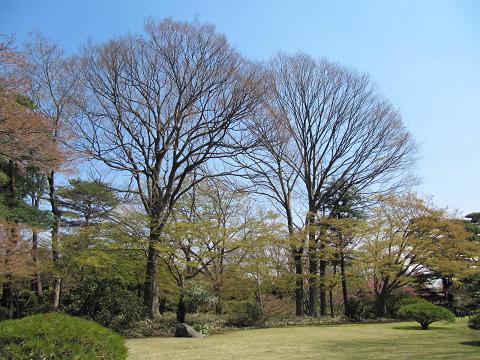 春を歩く　　　　　　　　　　　　　　　　　　　　２０１０・４・８（木）_c0213096_21503336.jpg