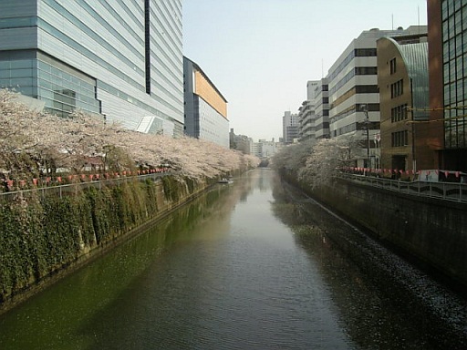 a0126797_1193268.jpg