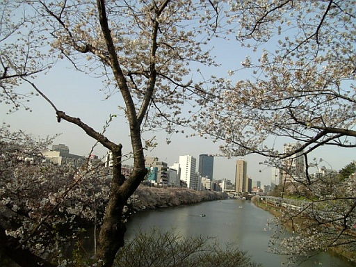 a0126797_1322472.jpg