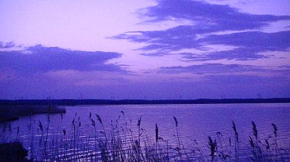 c0155902_20593225.jpg