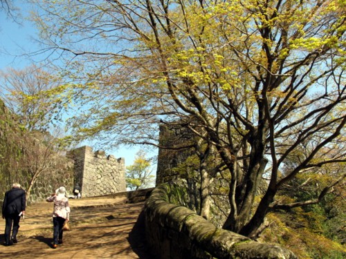 c0036203_2205166.jpg