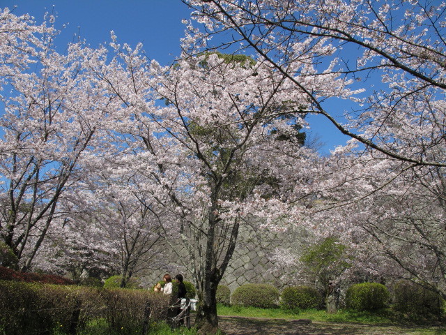 c0036203_2227342.jpg