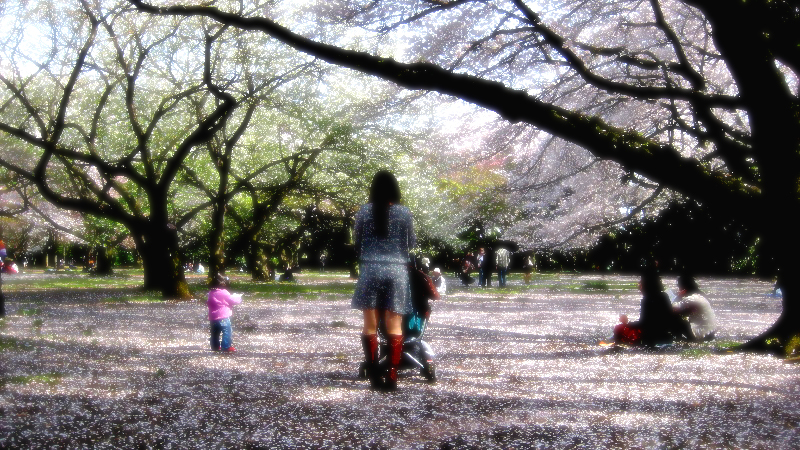 d0119505_657212.jpg