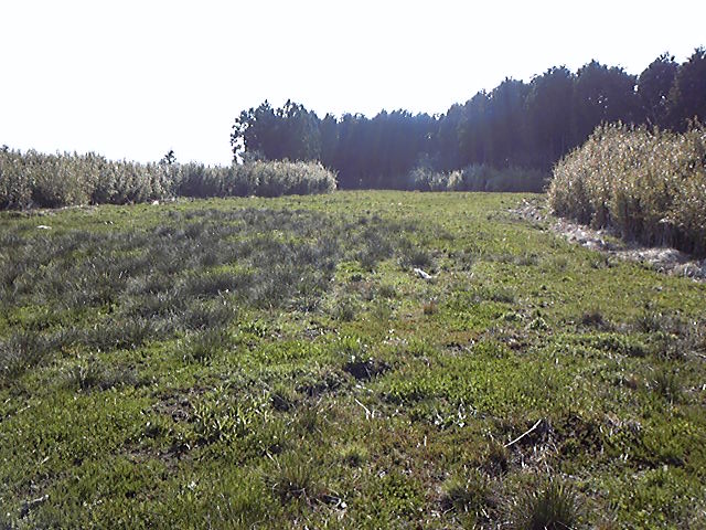 e0015108_17431921.jpg