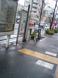 f0113109_8431025.jpg
