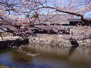 c0047814_8405021.jpg