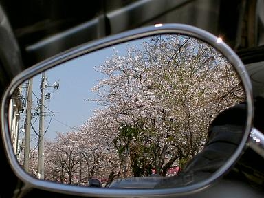 c0118216_11164451.jpg