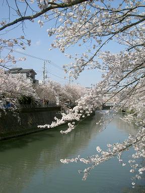 c0118216_111655.jpg