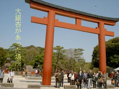 c0118216_1185222.jpg