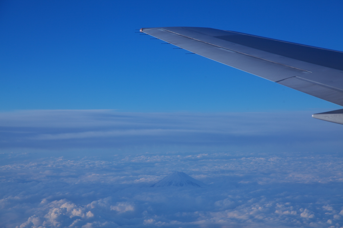c0153616_7234610.jpg
