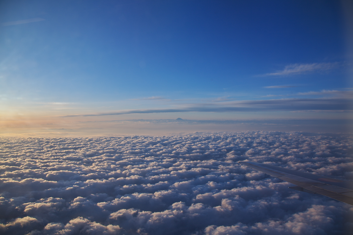 c0153616_724056.jpg