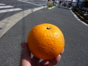 f0232417_01531.jpg