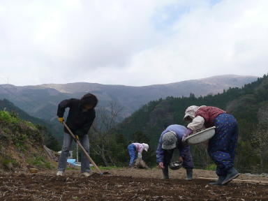 三椏の種まき_b0091719_176697.jpg