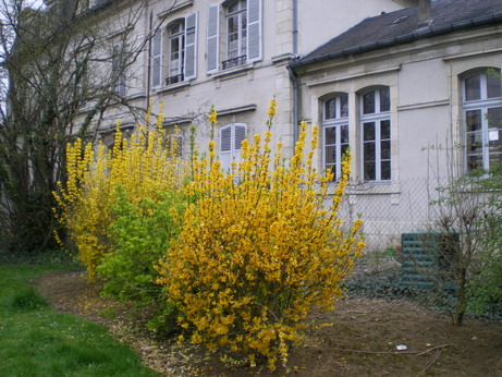 c0124619_4471615.jpg