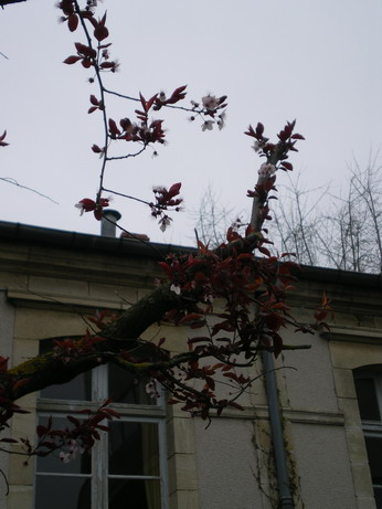 c0124619_447433.jpg