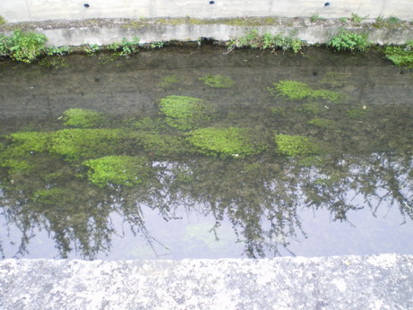 c0124619_450212.jpg