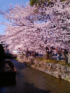 f0083021_152122.jpg