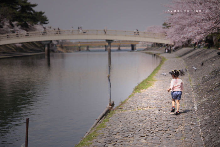  あこがれの京都　30帖　宇治で花見 Rico編 _c0187922_10491239.jpg