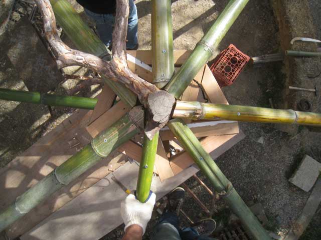 e0156224_20595870.jpg