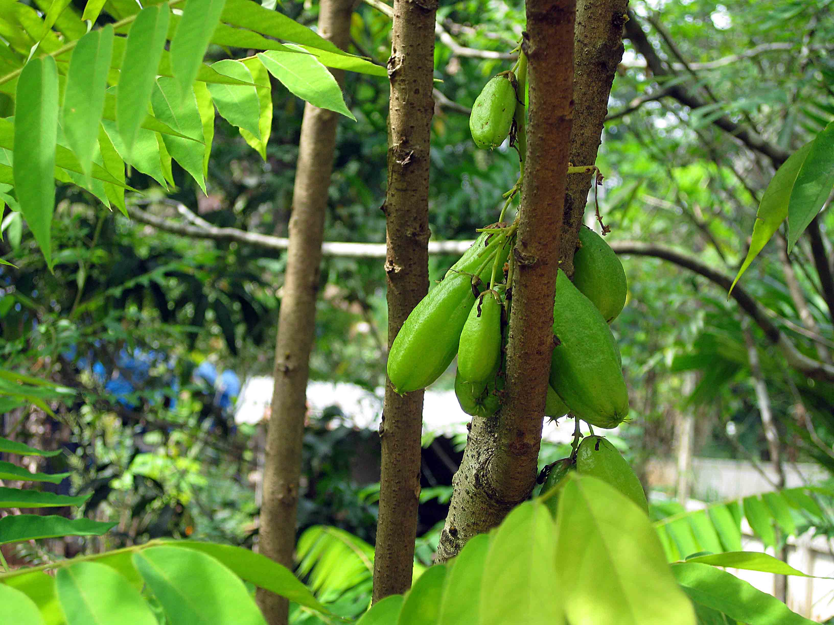 c0137328_80582.jpg