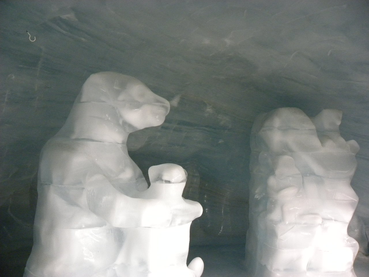 f0054429_2501928.jpg