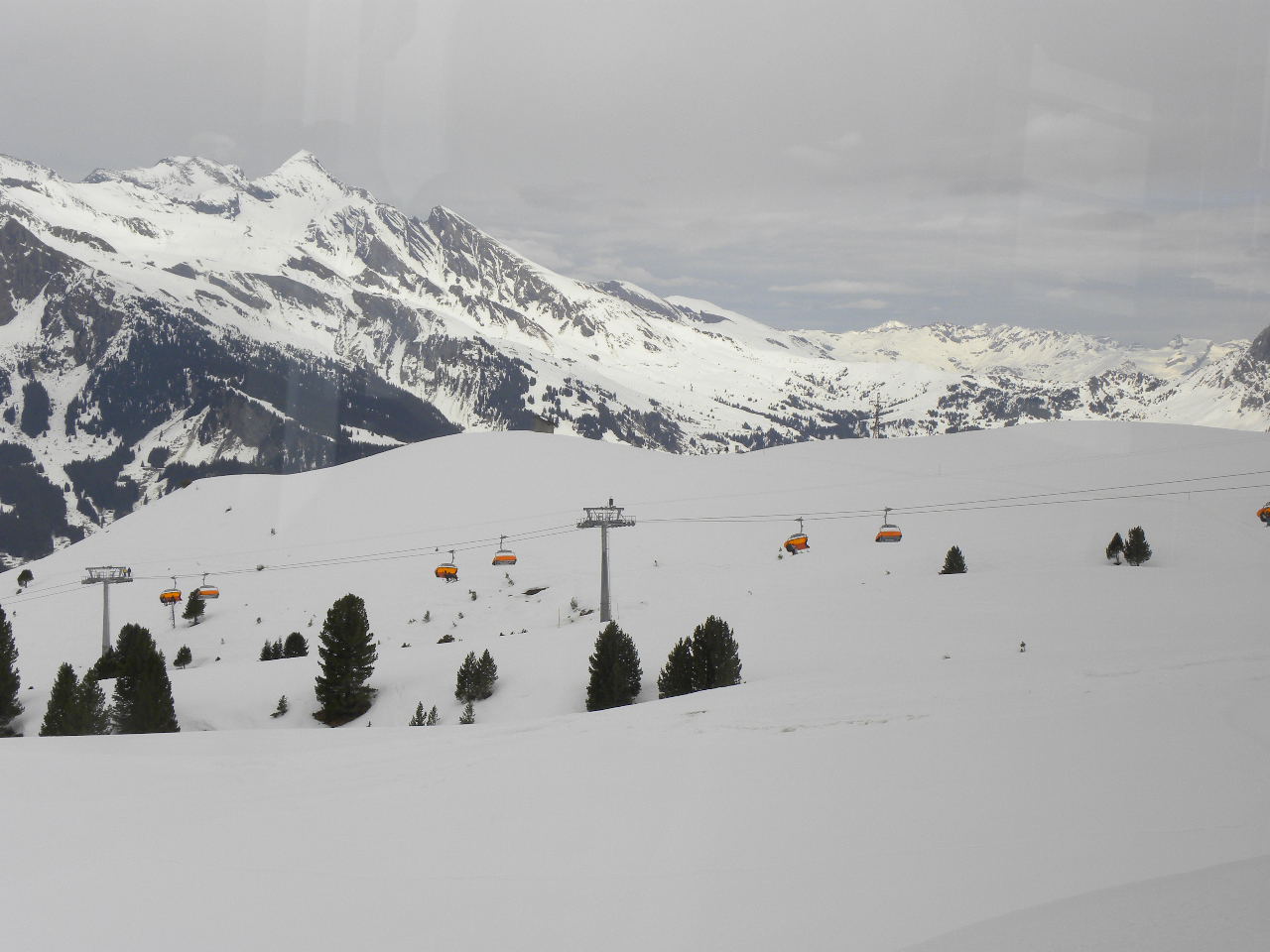 f0054429_3204276.jpg
