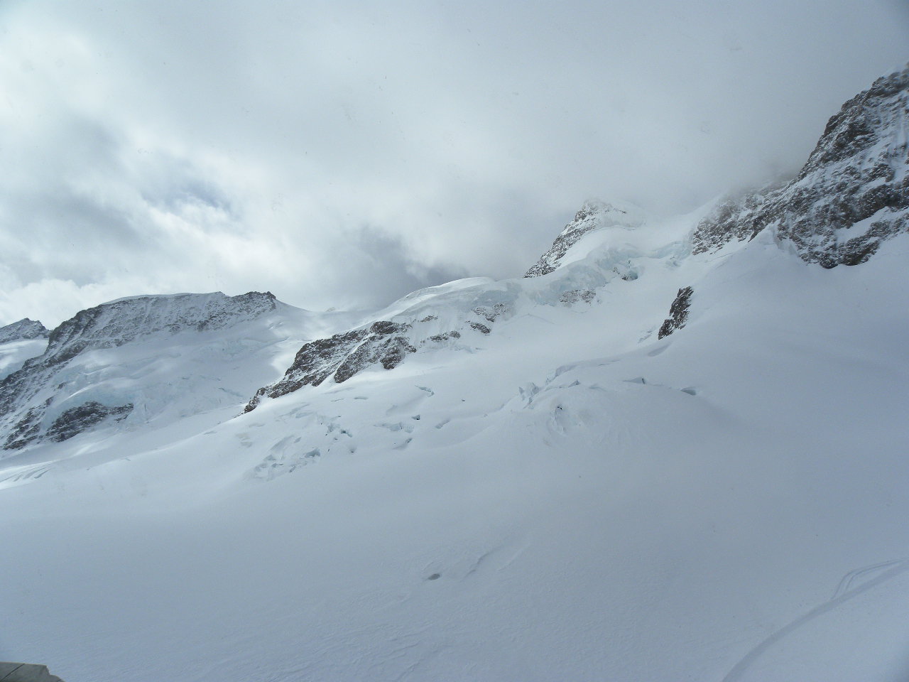 f0054429_372779.jpg