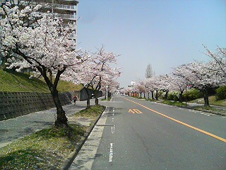f0220938_2318122.jpg