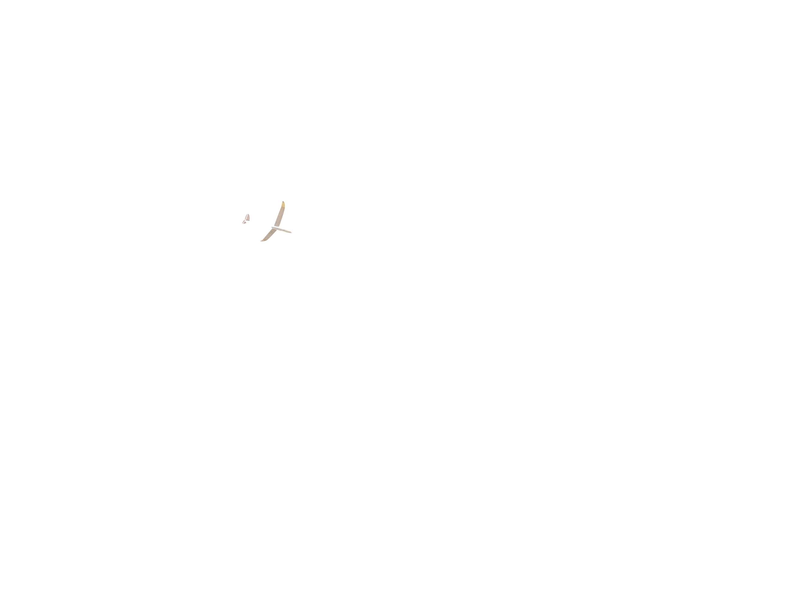 飛ばしても独り_d0067943_1624183.jpg