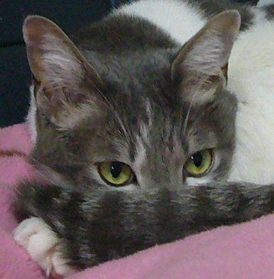 あっちゃ~_f0002743_15154434.jpg