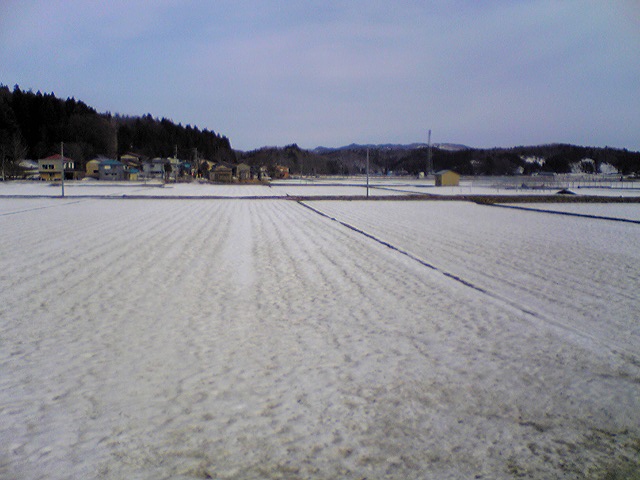 春はもうすぐ_f0081443_2239462.jpg