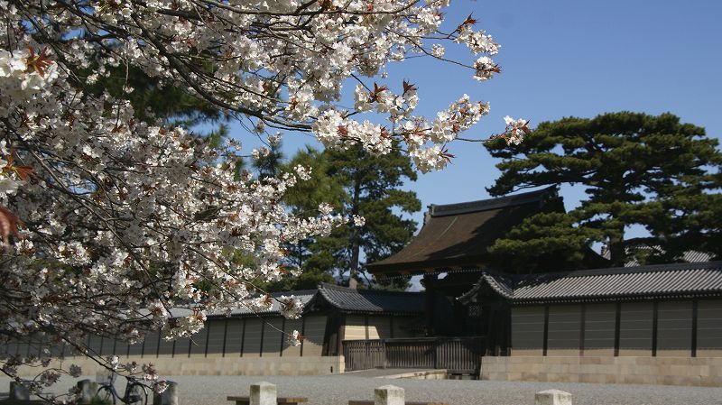 都路の桜便り２０１０ （京都御所 春季一般参観 ） (2010年04月09日)_c0119555_2231810.jpg