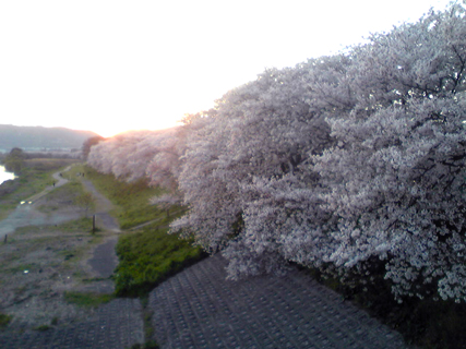 f0181159_2295923.jpg