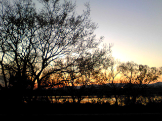 f0181159_241889.jpg