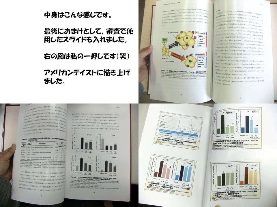 学位にまつわるエトセトラ_e0056272_1645972.jpg