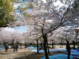 b0140276_9443061.jpg